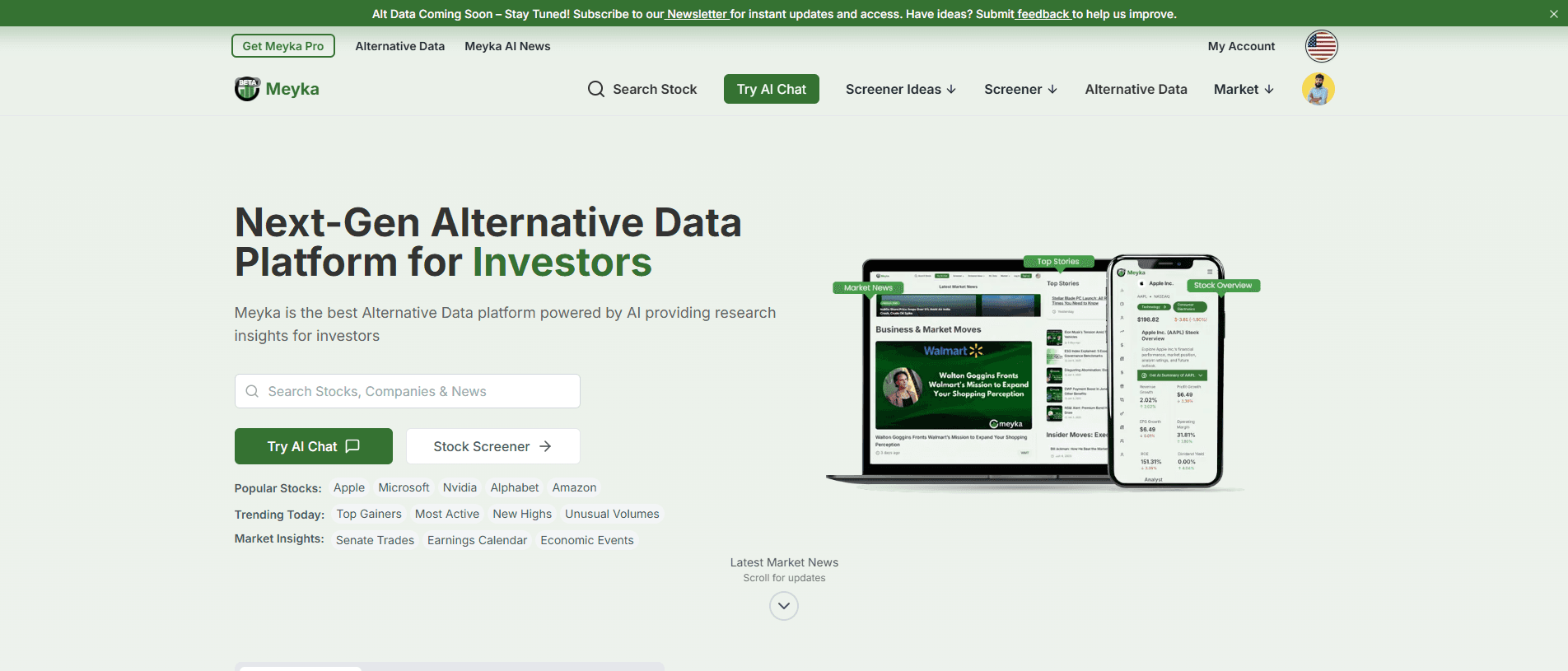 Agency Website Project